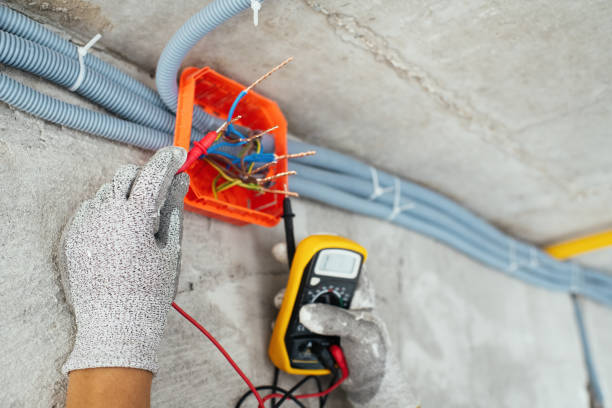 Best Ceiling Fan Installation Electrician  in Okawvle, IL