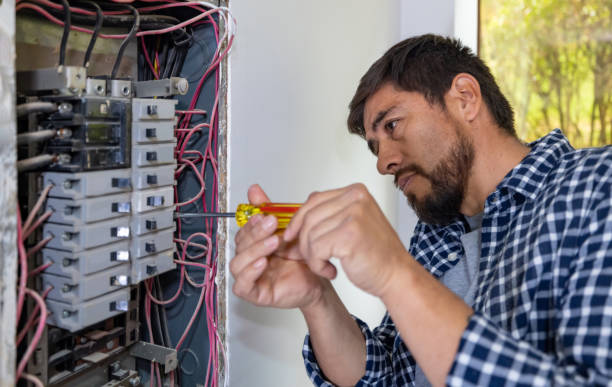 Best Electrical System Inspection  in Okawvle, IL
